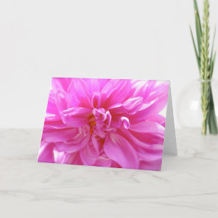 Cartão Placa Floral de Vazio Dahlia rosa