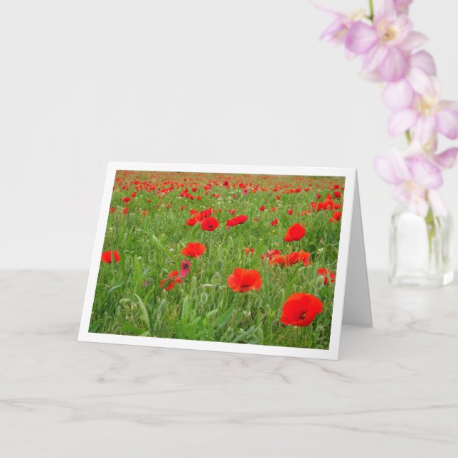 Cartão Placa Flores Vermelhas Poppy (Orquídea)