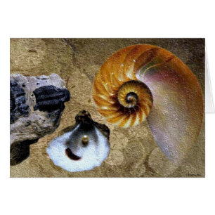 Cartão Placa Fóssil