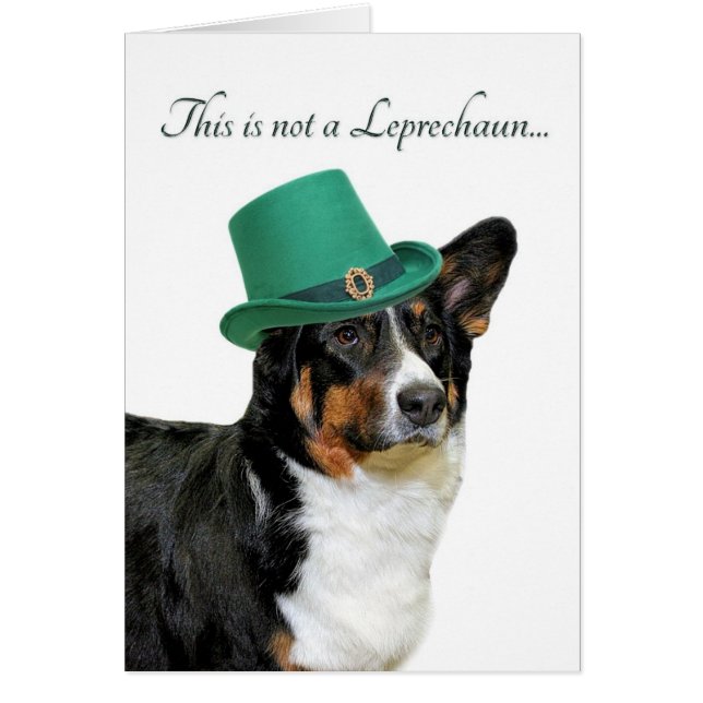 Cartão Placa Funny Corgi Leprechaun (Frente)