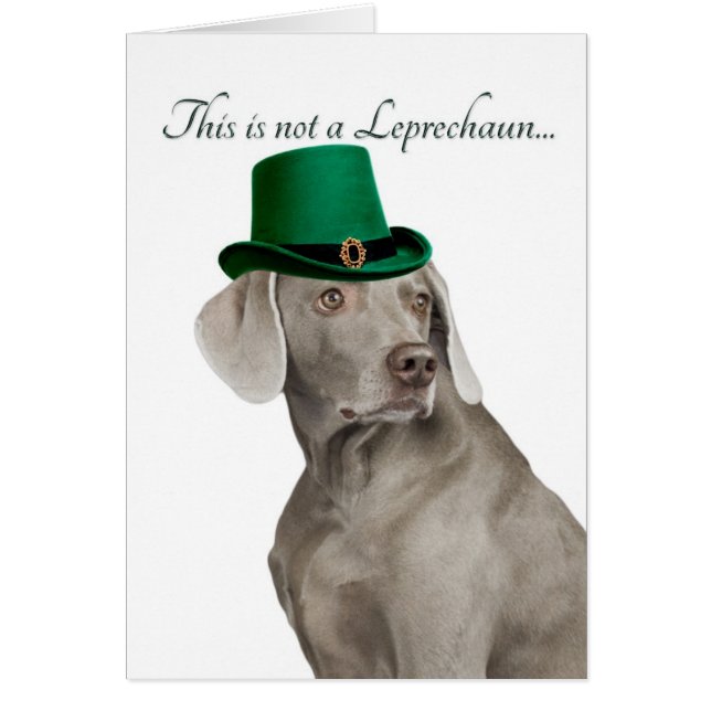 Cartão Placa Funny Weimaraner Leprechaun (Frente)