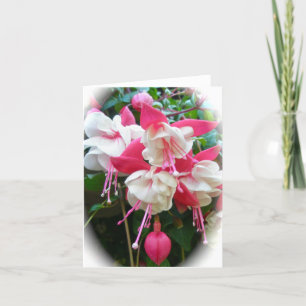 Cartão Placa Fuschia Rosa e Branca