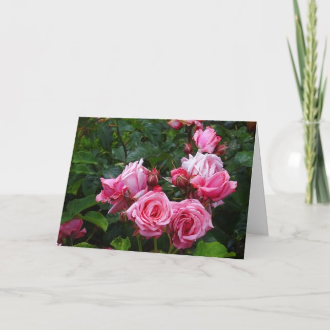 Cartão Placa Gene Boerner Rosa nº 1 (Frente)