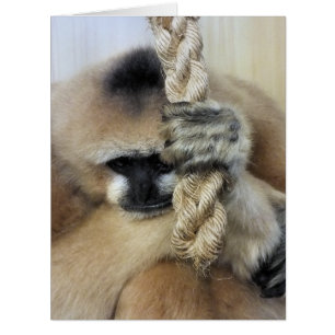 CARTÃO PLACA GIBBON GREETINGS