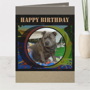 Cartão Placa grande Staffordshire Bull Terrier Birthday