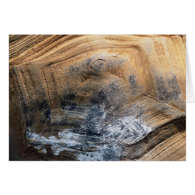 CARTÃO PLACA GREETINGS TORTOISE SHELL (Frente Horizontal)