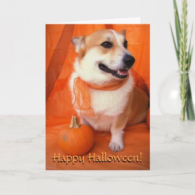 Cartão Placa Halloween Corgi (Frente)