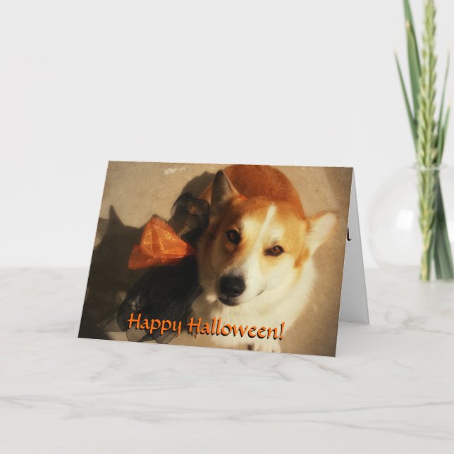 Cartão Placa Halloween Corgi (Frente)