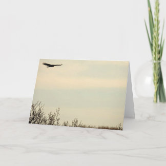 Cartão Placa Hawk Voando Alta Nota