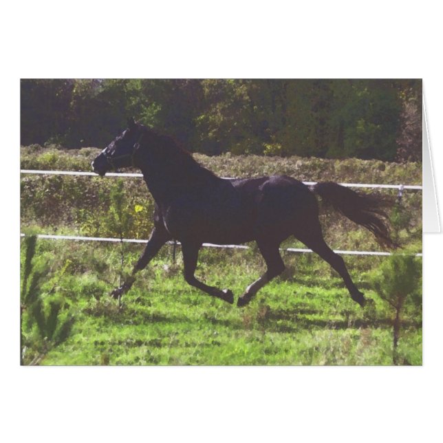 Cartão Placa Horse em Execução (Frente Horizontal)