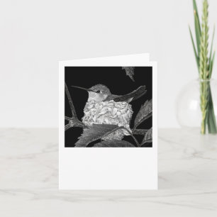 Cartão Placa Hummingbird
