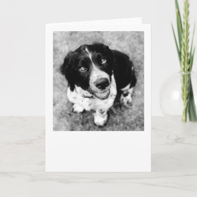 Cartão Placa Ike Smile (Frente)