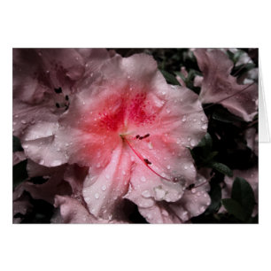 Cartão Placa interna brilhante