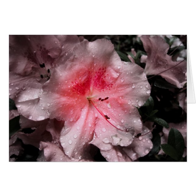 Cartão Placa interna brilhante (Frente Horizontal)