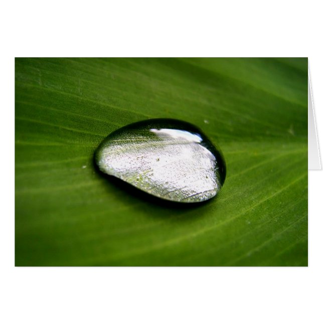 Cartão Placa Larga Zen Rain (Frente Horizontal)
