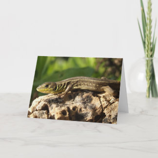 Cartão Placa Lizard