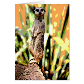 Cartão Placa Meerkat