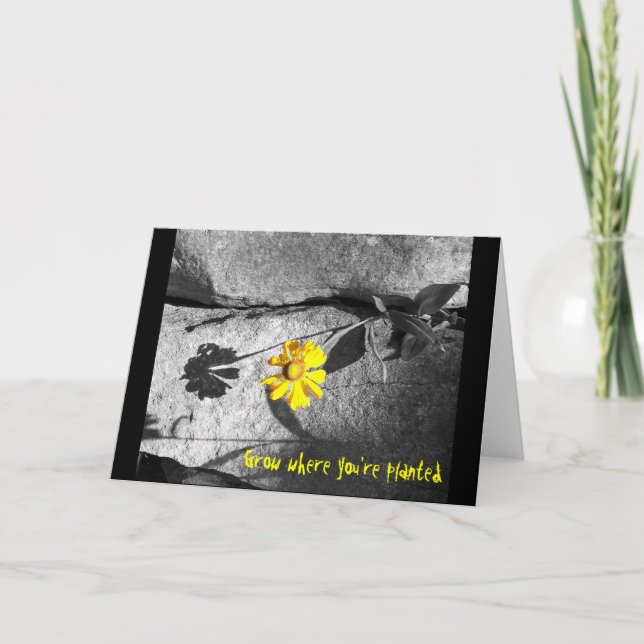 Cartão Placa motivacional "Cresça onde você está plantado (Frente)