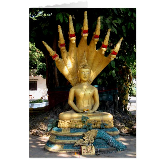 Cartão Placa Mucalinda (Frente)