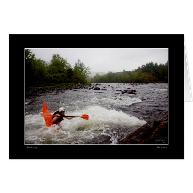 Cartão Placa Nosedive (Frente Horizontal)