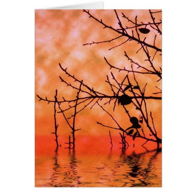 Cartão Placa Orange Squasun (Frente)