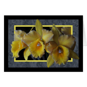 Cartão Placa Orquídea Amarela