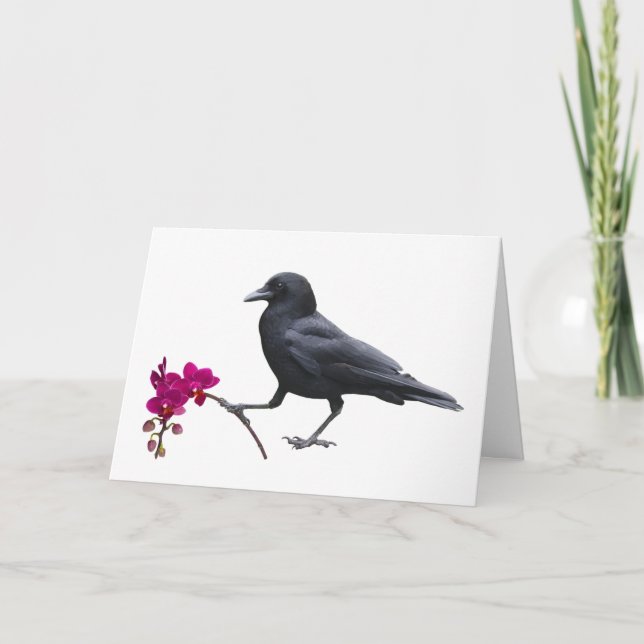 Cartão Placa Orquídea Crow (Frente)
