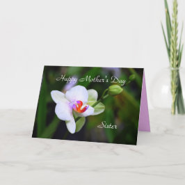 Cartão Placa Orquídea Irmã Phalaenopsis do Dia de as mães