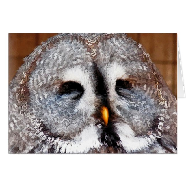 CARTÃO PLACA OWL (Frente Horizontal)