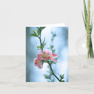 Cartão Placa #P0365 do Flor da Apple