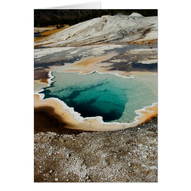 Cartão Placa #P4078 (Frente)