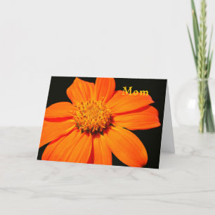 Cartão Placa para Dia de as mães com Flor Laranja Bonito