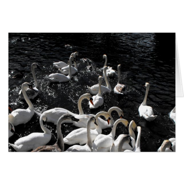 Cartão Placa para fora (Frente Horizontal)