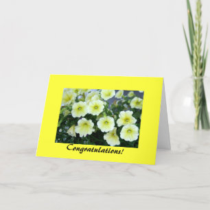 Cartão Placa parabéns