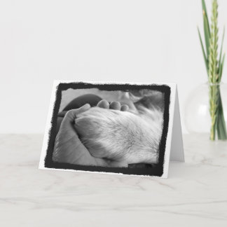 Cartão Placa Pata em Mão