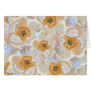 Cartão Placa Peony Blush