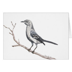 Cartão Placa Pequena do Texas Mockingbird