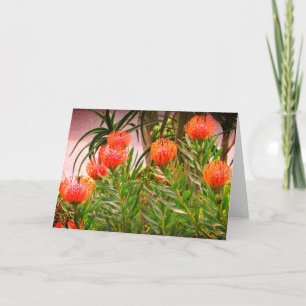 Cartão Placa Pincushion Tango #1