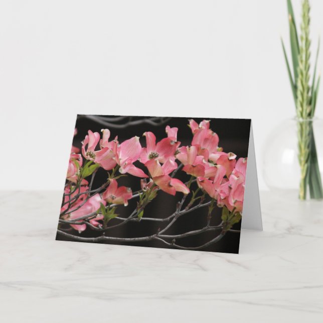Cartão Placa, "PINK DOGWOOD # 2" (Frente)