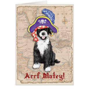 Cartão Placa pirata PWD