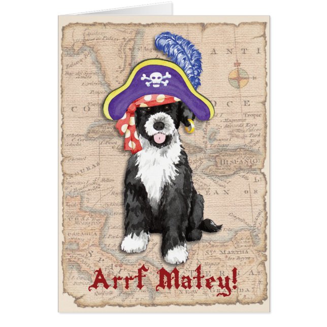 Cartão Placa pirata PWD (Frente)