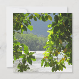 Cartão Placa plana Cape Tribulation