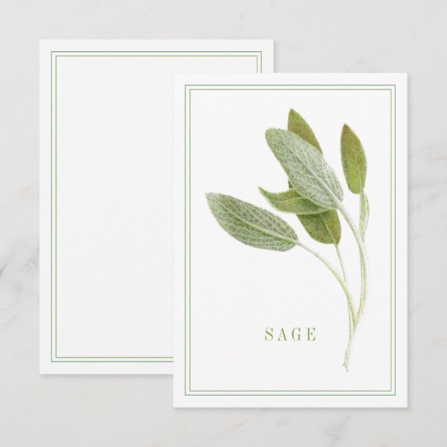 Cartão Placa plana FRESH SAGE 3.5x5 (Frente/Verso)