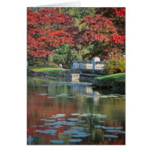 Placa ponte de pedra