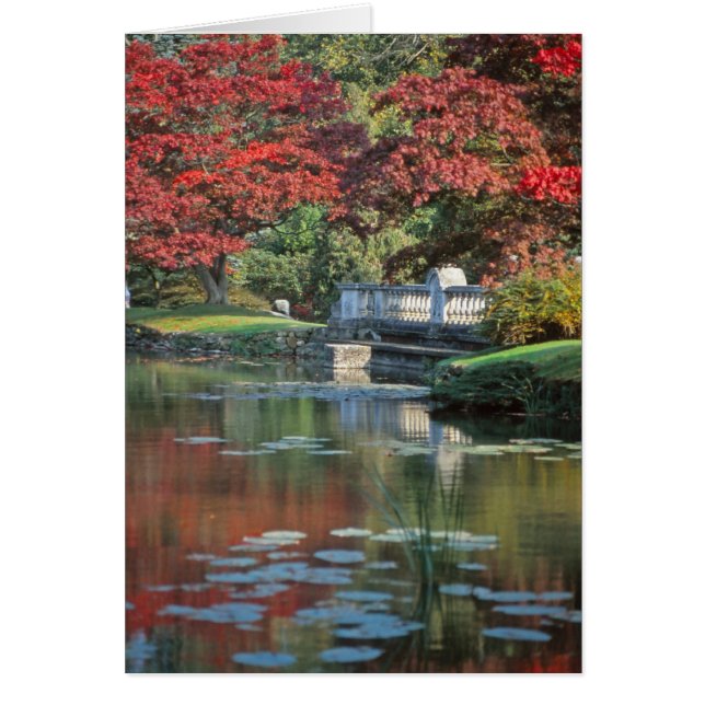 Cartão Placa ponte de pedra (Frente)