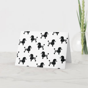 Cartão Placa Poodle