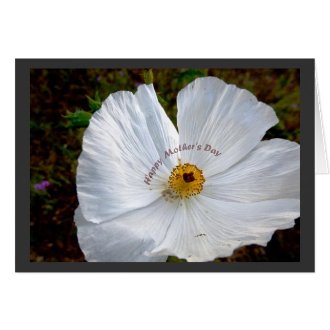 Cartão Placa Poppy de Dia de as mães Feliz (Frente Horizontal)