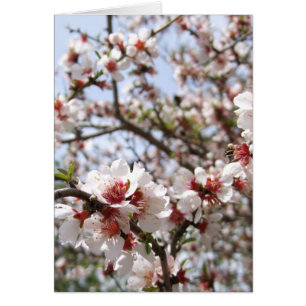 Cartão Placa primavera Blossom