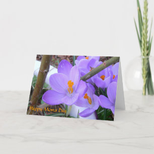 Cartão Placa Primavera dia de as mães