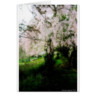 Cartão Placa Primavera gloriosa